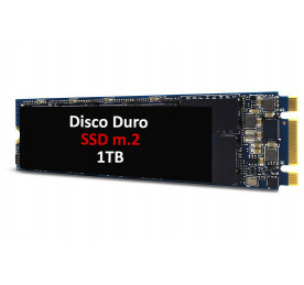 Cambio SSD m.2 1TB