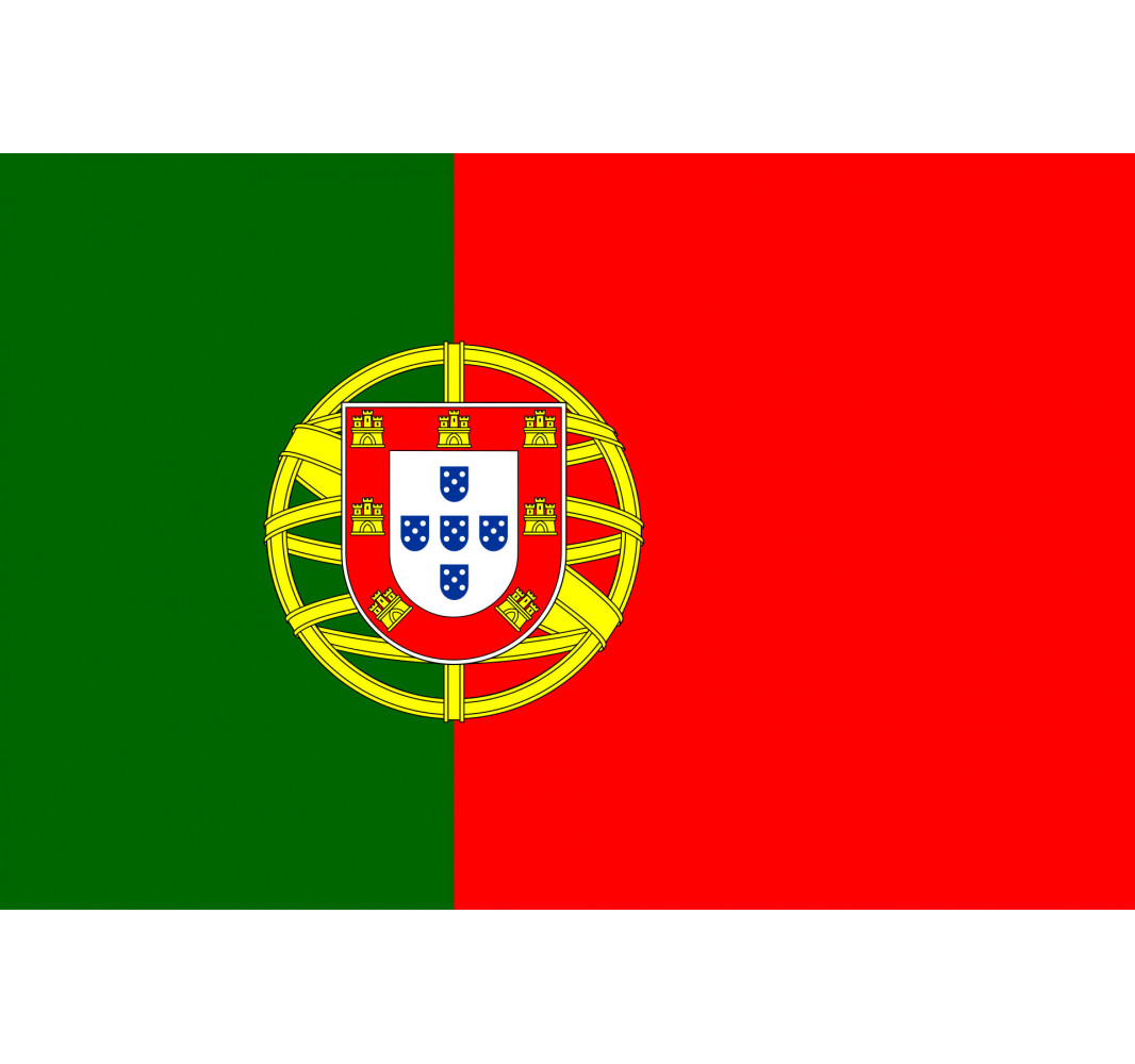 Cambio de idioma a portugues
