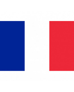 Cambio de idioma a francés