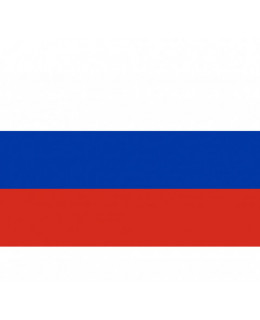 Cambio de idioma a ruso